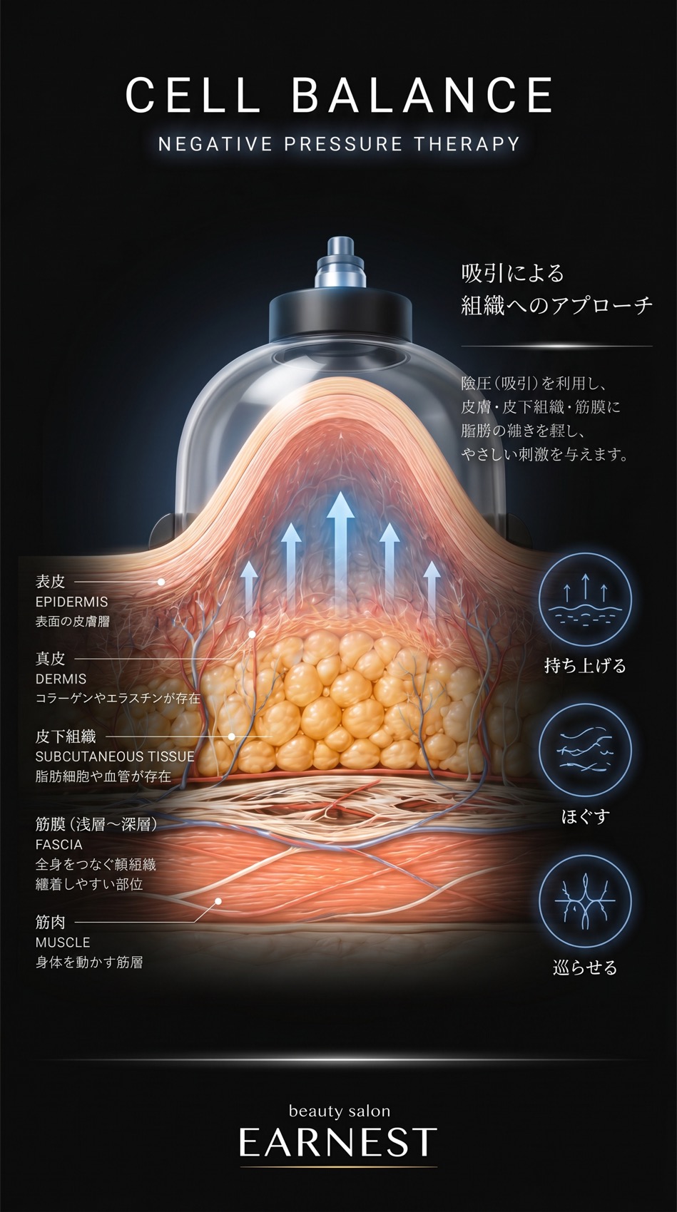 CELL BALANCE 負圧（陰圧）で表皮・真皮・皮下組織・筋膜・筋肉へ働きかける断面図。持ち上げる・ほぐす・巡らせる。